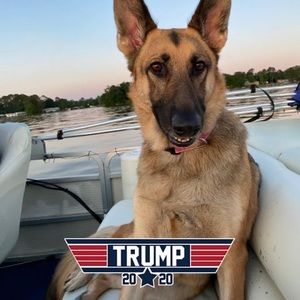 Meet your Posher, Edward